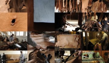 From raw hide to high quality eco-leather: Towards a natural and sustainable tanning process